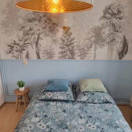 Appartamento Lumineuse - Centre Et Chateau - Cuisine Partagée Et Salle De Bain Privée Lourdes