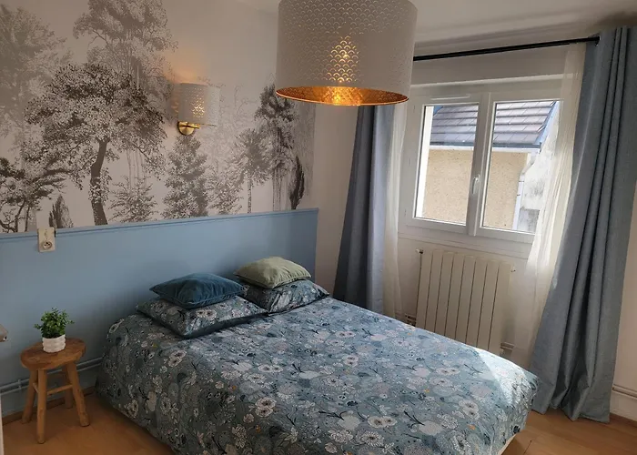 Appartement Lumineuse - Centre Et Chateau - Cuisine Partagée Et Salle De Bain Privée Lourdes