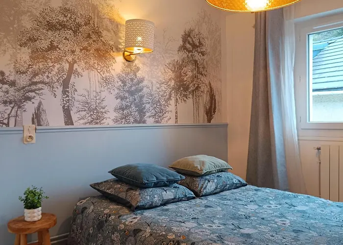 Lumineuse - Centre Et Chateau - Cuisine Partagée Et Salle De Bain Privée Lourdes