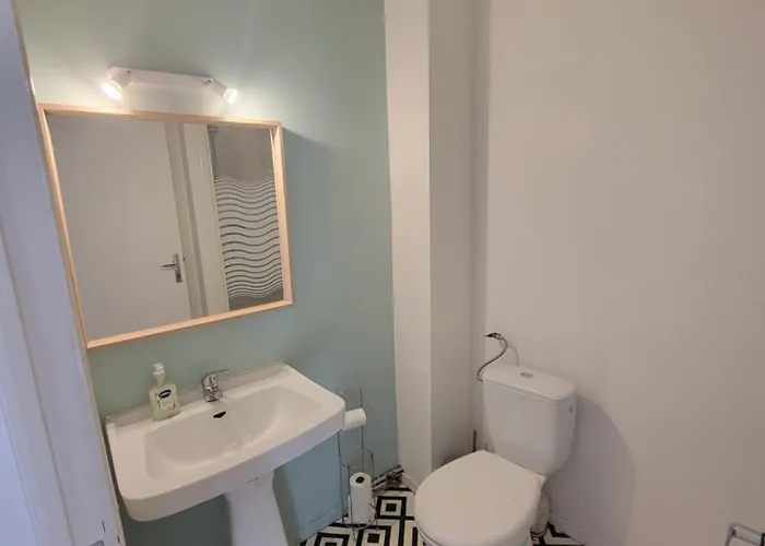 Lumineuse - Centre Et Chateau - Cuisine Partagée Et Salle De Bain Privée * Lourdes