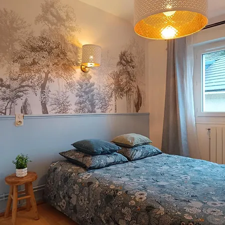 Lumineuse - Centre Et Chateau - Cuisine Partagee Et Salle De Bain Privee ルルド