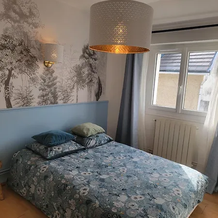 Lejlighed Lumineuse - Centre Et Chateau - Cuisine Partagee Et Salle De Bain Privee Lourdes